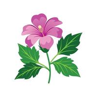 Charming Malva Plant Design vector