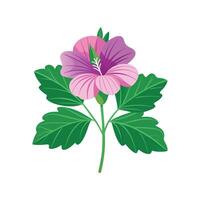 Elegant Malva Plant Design vector