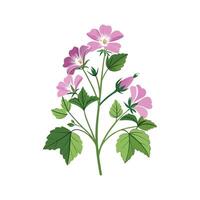 Charming Malva Sylvestris with Colorful Blooms vector