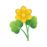 Elegant Marsh Marigold Flower Design with Unique Blooms vector