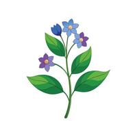 Mertensia Flower Design with Unique Features vector