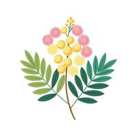 Mimosa Flower Design with Unique Features vector
