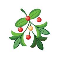 Charming Mistletoe with Colorful Blooms vector