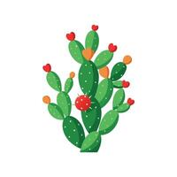 Stylish Mistletoe Cactus for Artistic Projects vector