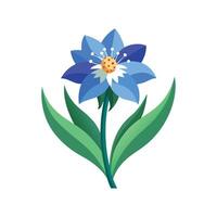 Charming Mountain Bluet Plant Design vector