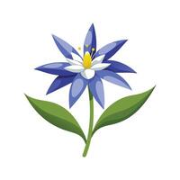 Charming Mountain Bluet Design for Floral Art vector