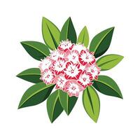 Elegant Mountain Laurel Plant Design vector