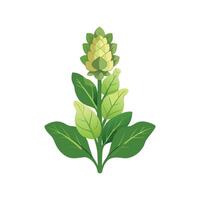 Charming Mullein for Unique Floral Designs vector