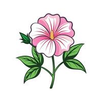 Elegant Musk Mallow for Artistic Floral Designs vector