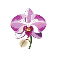 Elegant Orchid Design for Unique Floral Art vector