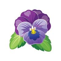 Stylish Pansy for Unique Floral Illustrations vector