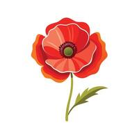 Charming Papaver for Unique Floral Illustrations vector