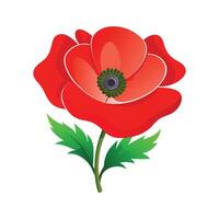 Beautiful Papaver Design for Nature Lovers vector