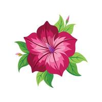 Charming Petunia for Unique Floral Illustrations vector