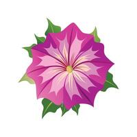 Vibrant Petunia for Unique Botanical Art vector