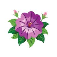 Beautiful Petunia for Nature Lovers vector