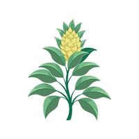 Charming Pineapple Sage for Unique Botanical Art vector