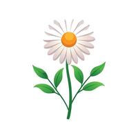 Vibrant Pyrethrum for Unique Floral Artwork vector