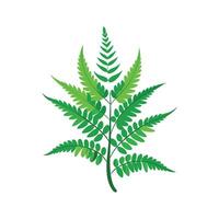 Charming Rabbits Foot Fern Design vector