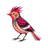 Elegant Ragged Robin for Stunning Floral Artwork vector