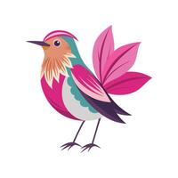 Beautiful Ragged Robin for Unique Botanical Art vector
