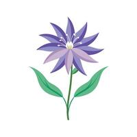 Charming Rampion for Unique Floral Art vector