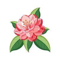 Vibrant Rhododendron for Unique Botanical Art vector