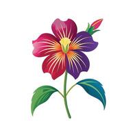 Charming Salpiglossis for Unique Floral Illustrations vector