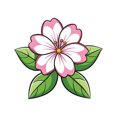 Vibrant Saponaria for Stunning Floral Designs