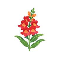 Elegant Snapdragon for Beautiful Floral Artwork vector