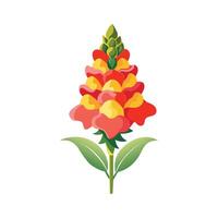 Elegant Snapdragon for Unique Floral Artwork vector