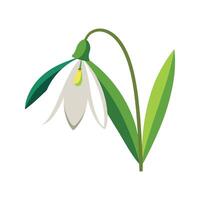Charming Snowdrop Plant Design vector