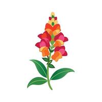 Elegant Snapdragon for Unique Floral Art vector