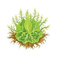 Vibrant Sphagnum Moss for Unique Botanical Artwork vector