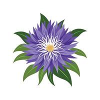 Charming Stokesia for Unique Floral Art vector