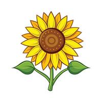 Charming Sunflower for Stunning Floral Art vector