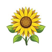 Stylish Sunflower for Unique Floral Illustrations vector