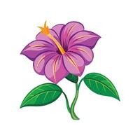 Elegant Thunbergia for Stunning Floral Artwork vector