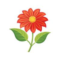 Vibrant Tithonia for Unique Floral Art vector