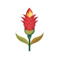 Elegant Torch Lily for Stunning Floral Artwork vector