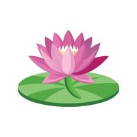 Elegant Water Lily for Stunning Floral Artwork vector
