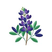 Stylish Wild Indigo for Unique Floral Illustrations vector