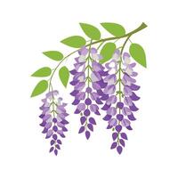 Elegant Wisteria for Unique Floral Art vector