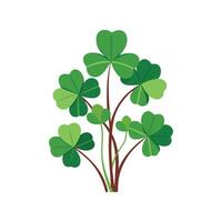 Elegant Wood Sorrel for Beautiful Floral Artwork vector