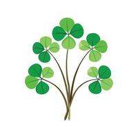 Stylish Wood Sorrel for Unique Floral Illustrations vector