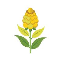 Stylish Yellow Rattle Plant Design vector