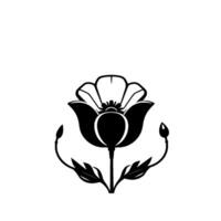A minimalist black and white botanical illustration of a poppy, showcasing the flowers elegant form, buds, and leaves against a clean, white background. vector