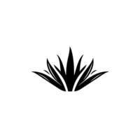 Bold, minimalist black and white stylized illustration of an agave plant, showing sharp, spiky leaves against a bright, clean background. vector