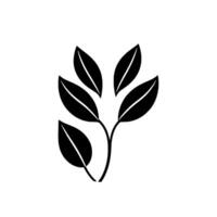 Minimalist Black Leafy Branch Silhouette on White with Circular Shadow Detail for or vector