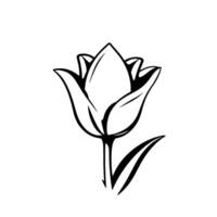 A minimalist black and white illustration of a single tulip flower, with elegantly stylized petals and leaves, set against a clean white background. vector